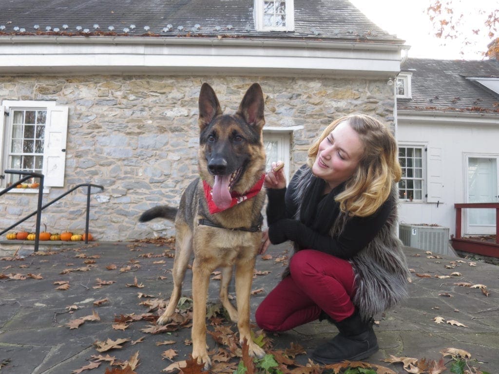 German Sheppard