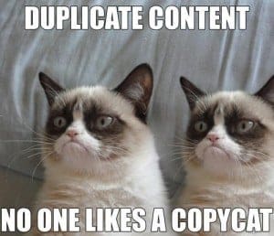 Duplicate Content - Nobody likes a copycat