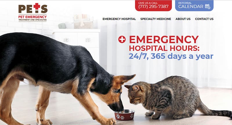 Lancaster-PETS-homepage