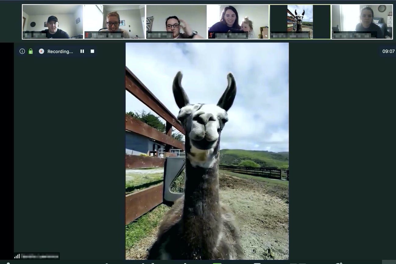 Goat2Meeting