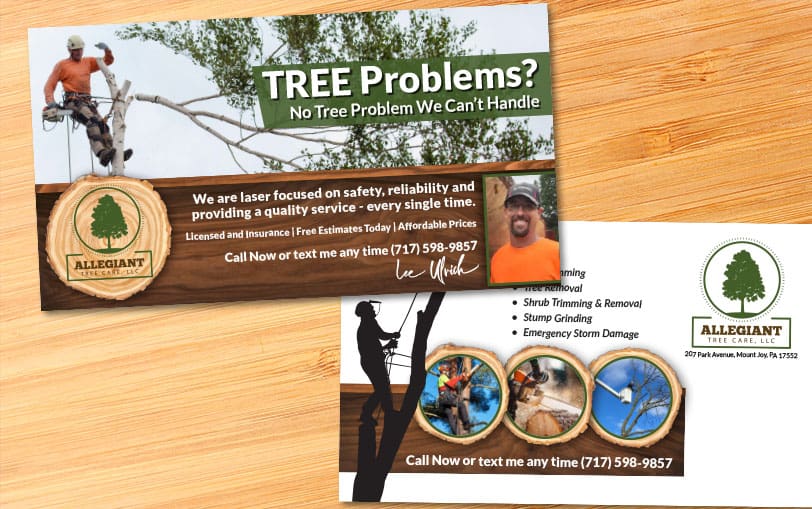 Example of Allegiant Tree Care